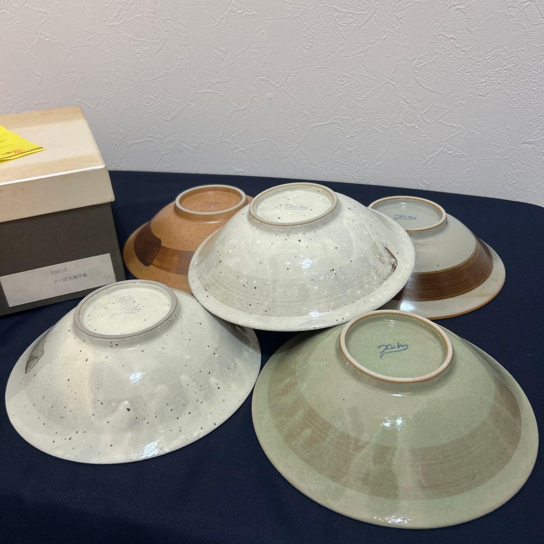 ★専用★エクレクティック　カイカイ　クバの大地　平鉢　17cm ５枚　箱あり