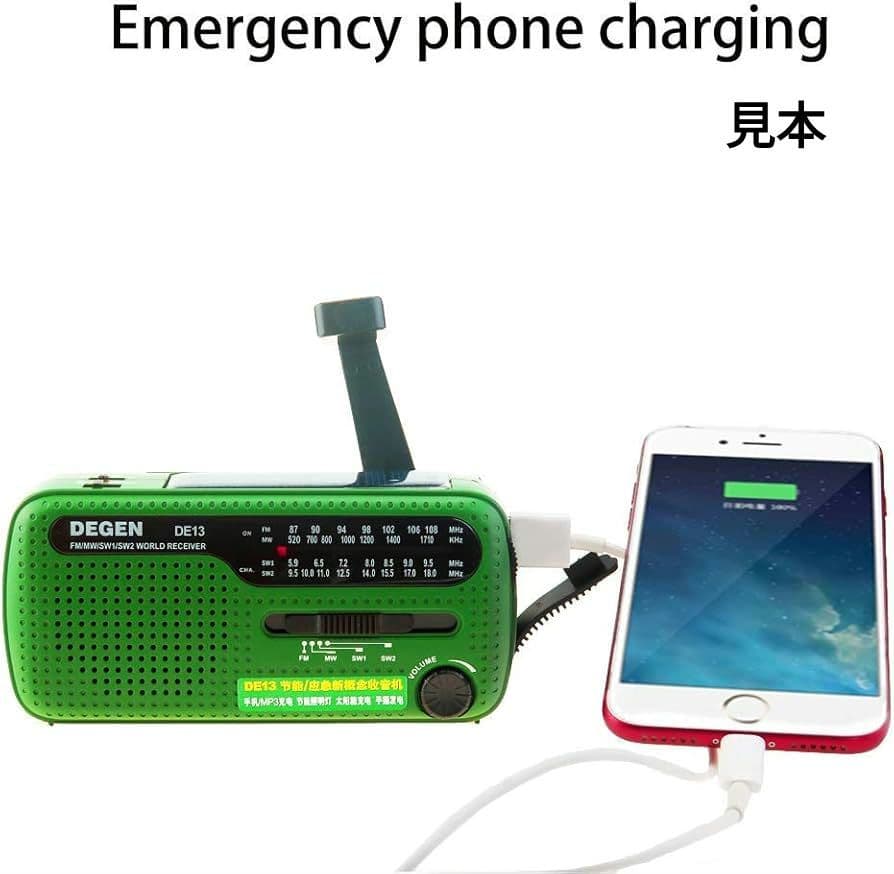 DEGEN　DE-1103（DSP）・DE13（未使用に近い）２セット