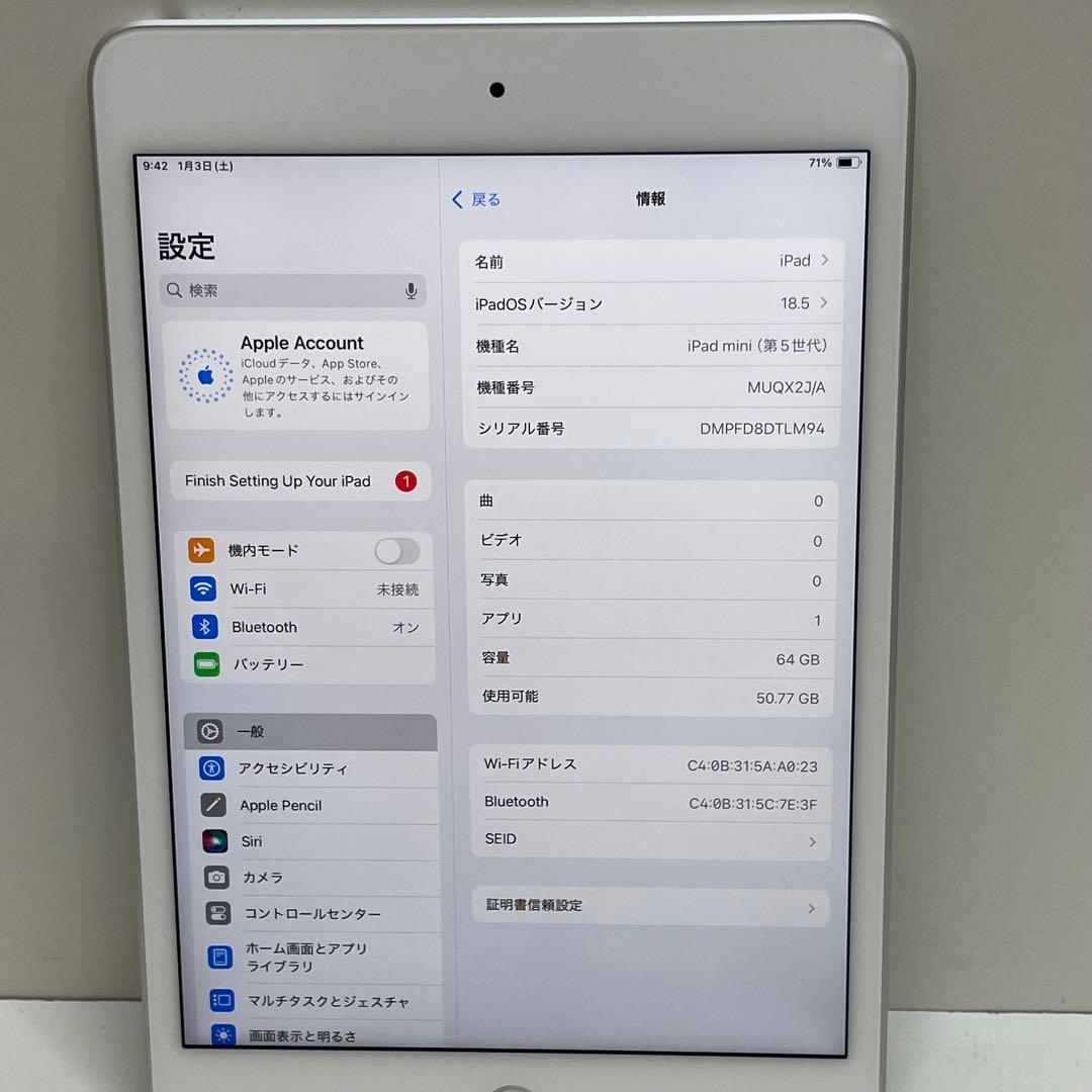 iPad Mini 第5世代 64GB Wi-Fi 100%