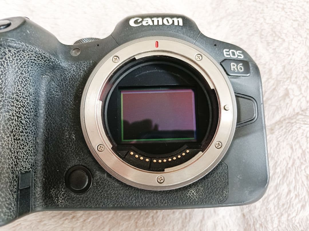 Canon EOS R6 ミラーレスカメラ本体