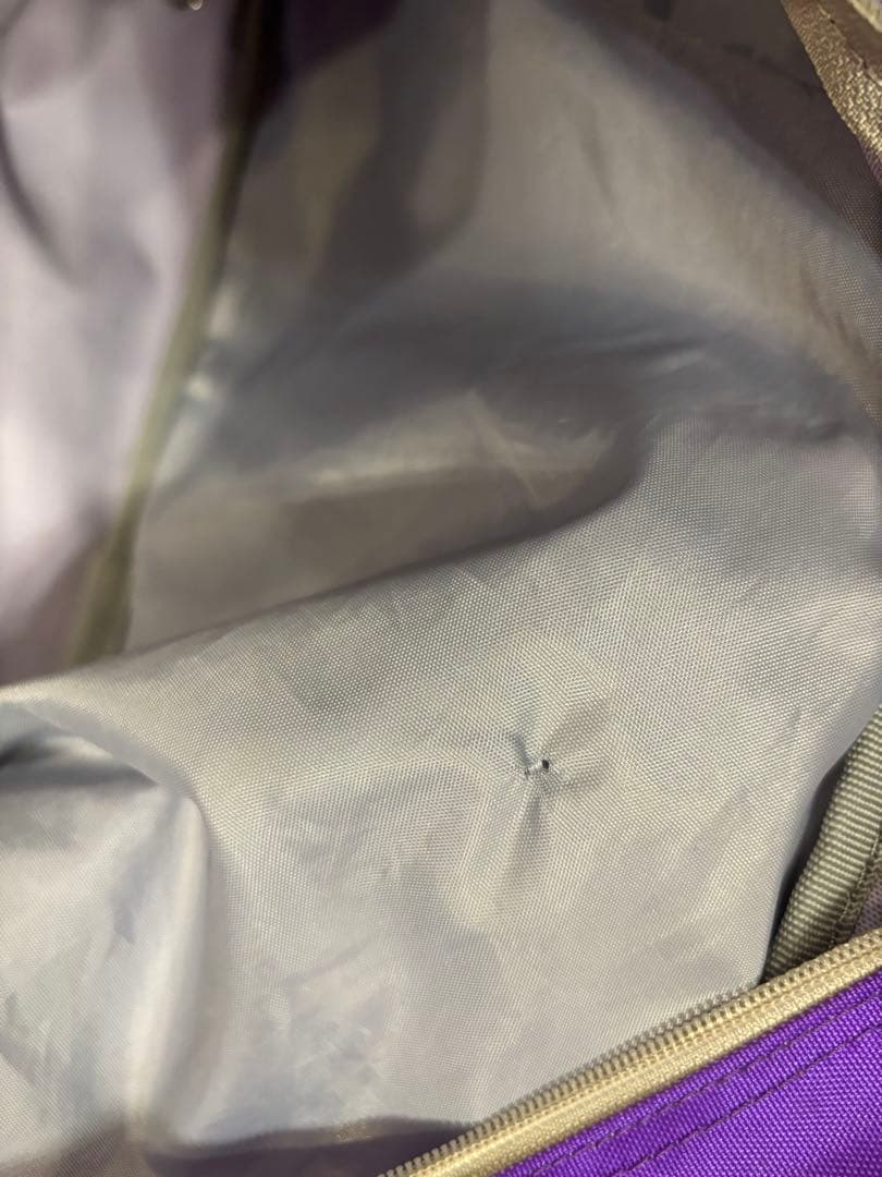 WORLD PEGASUS 旧ワッペ 紫 スクバミニーリボン付き