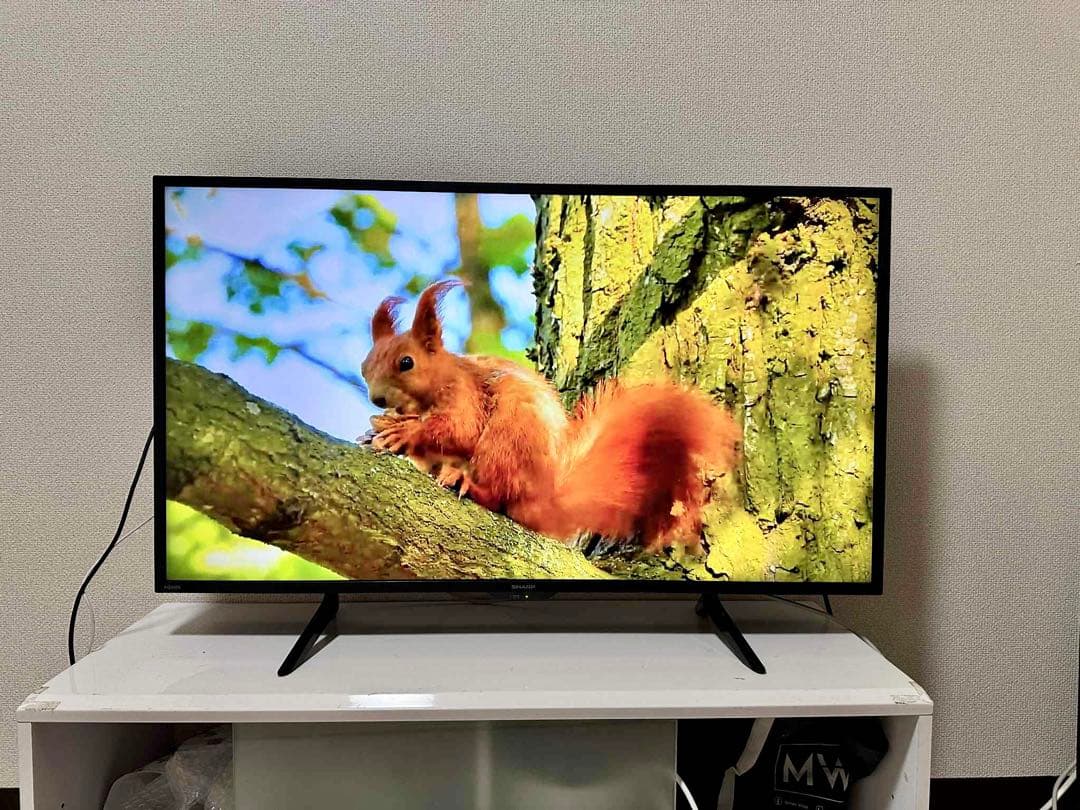 4K 対応SHARP 42インチ 液晶テレビ 2023年製4T-C42DH1