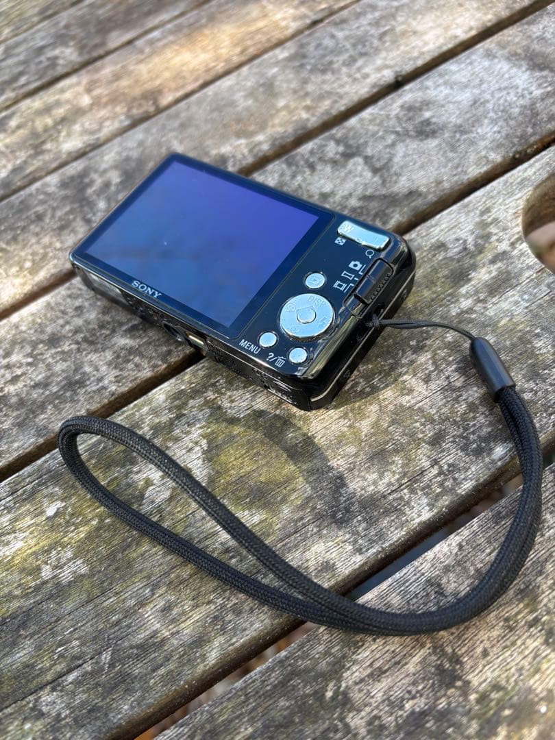 Sony cyber-shot DSC-W630 ケース付 美品 希少