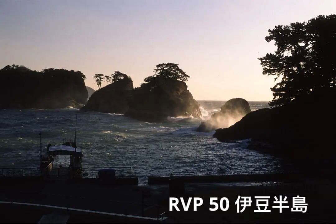 実用品 Nikon F90XS フィルムカメラ フールセット