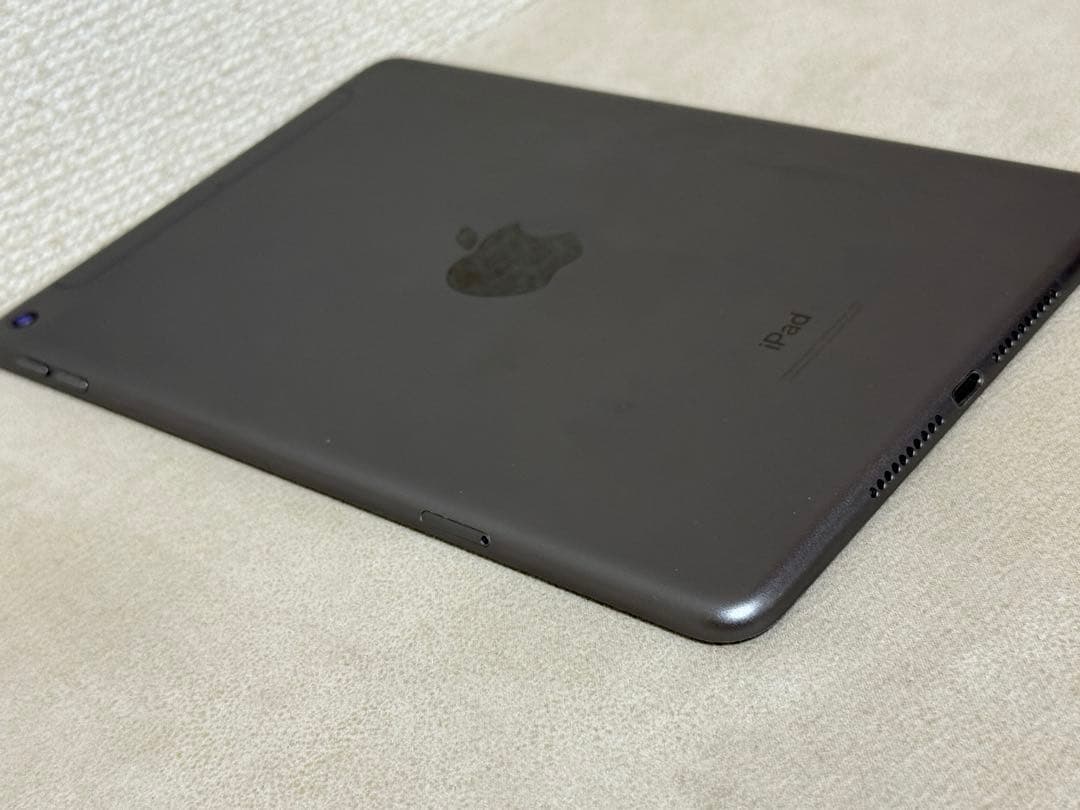 Ipad mini 第5世代256GB WI-FI＋ cellular