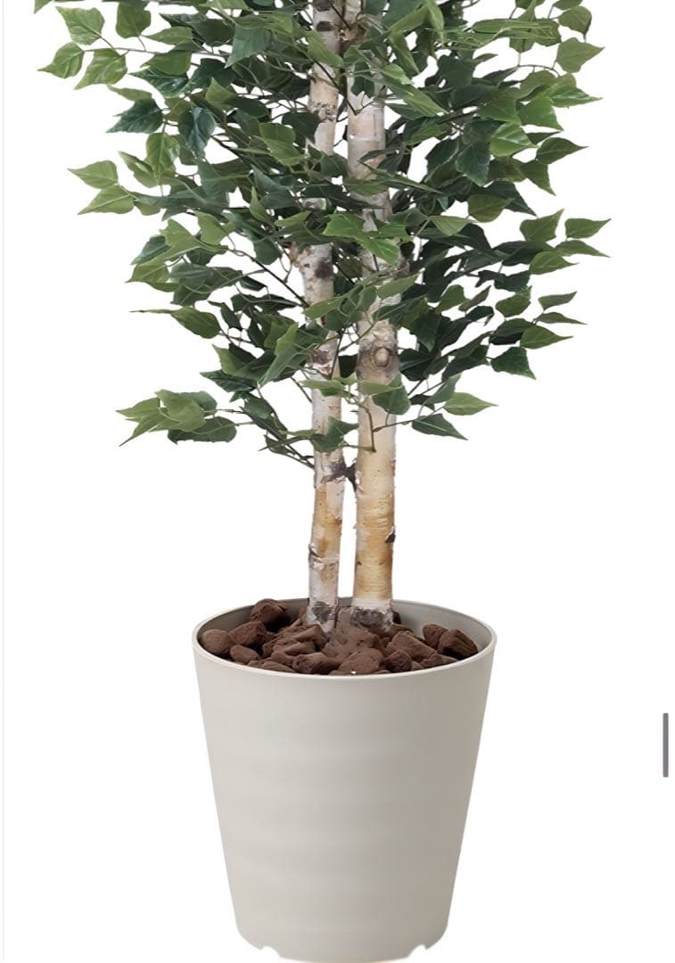 光触媒　人工観葉植物　ウォールグリーン　フェイクグリーン　白樺