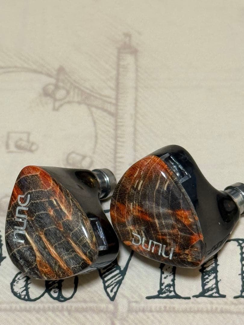 DUNU DaVinci リケーブル可能イヤホン