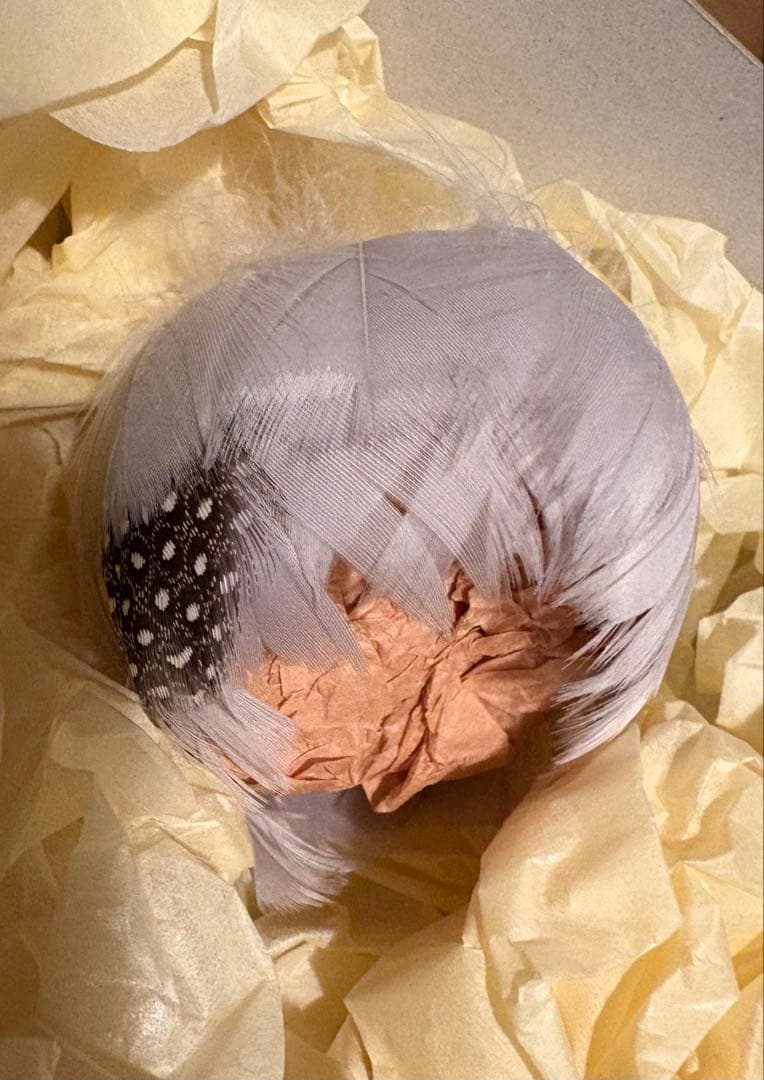 camellia 様 ruban ウィッグ iMda3.0 人形 ドール 羽根