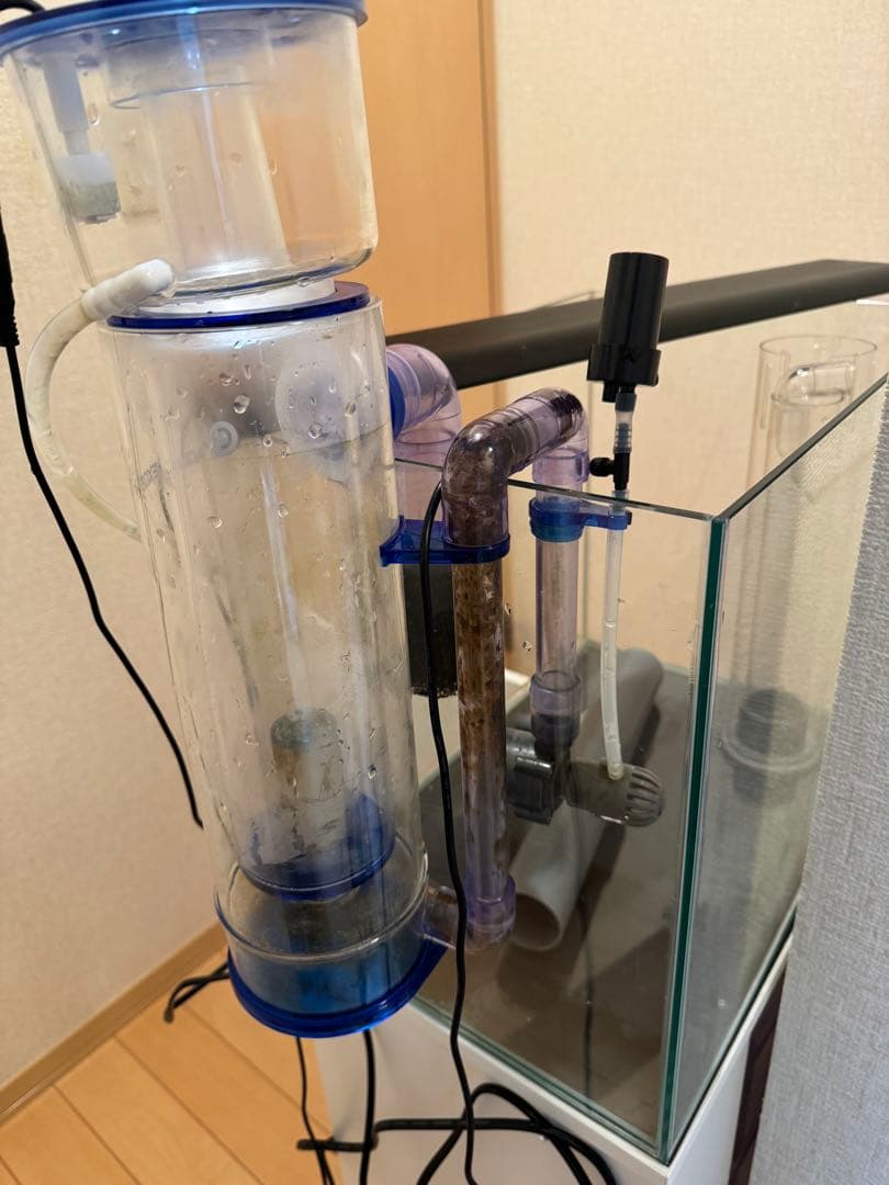 【引き取り限定】45cmオーバーフロー水槽 60Hz