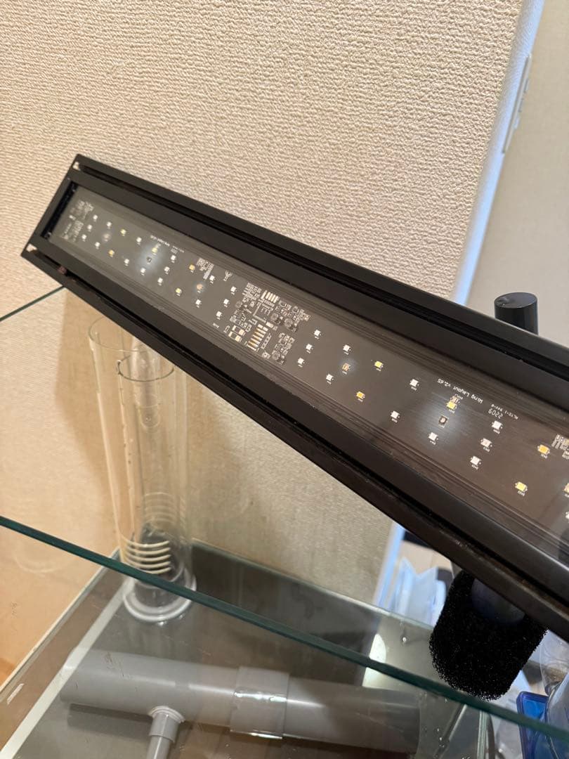 【引き取り限定】45cmオーバーフロー水槽 60Hz