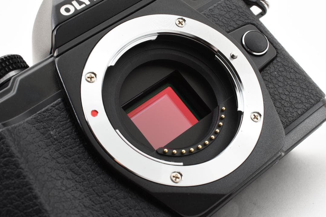 【ショット数2830】OM-D E-M10 Mark II ダブルレンズ