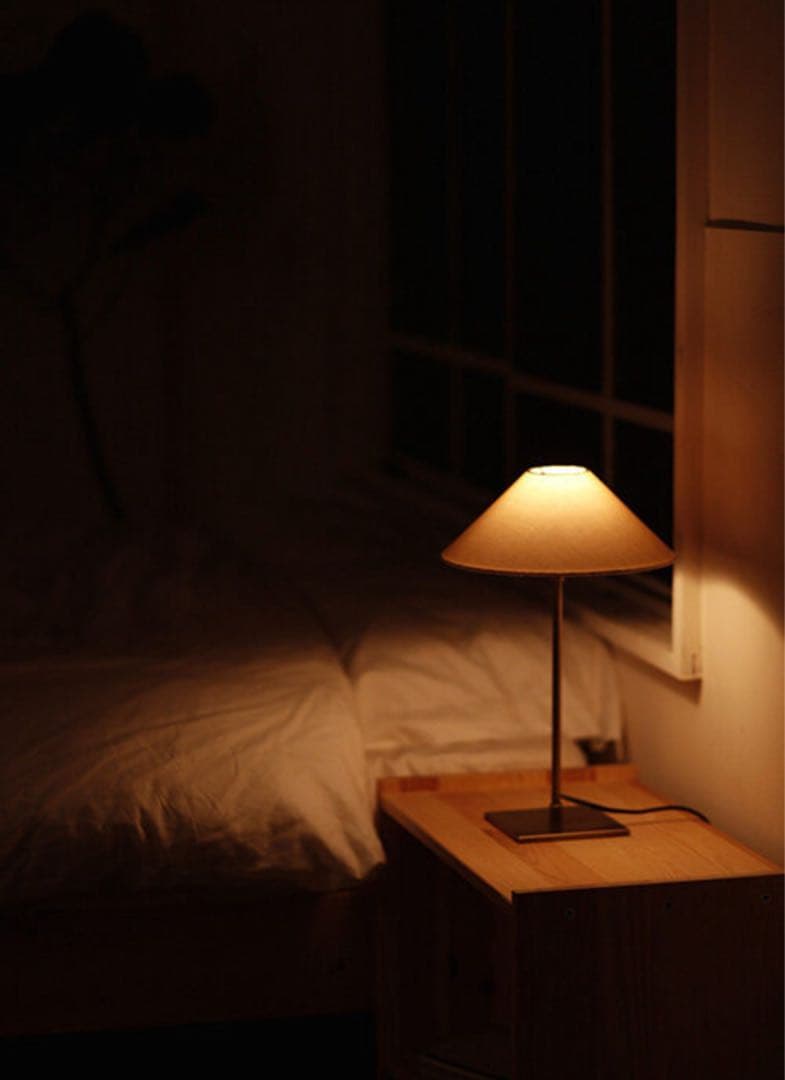 flame 照明　ブルボン