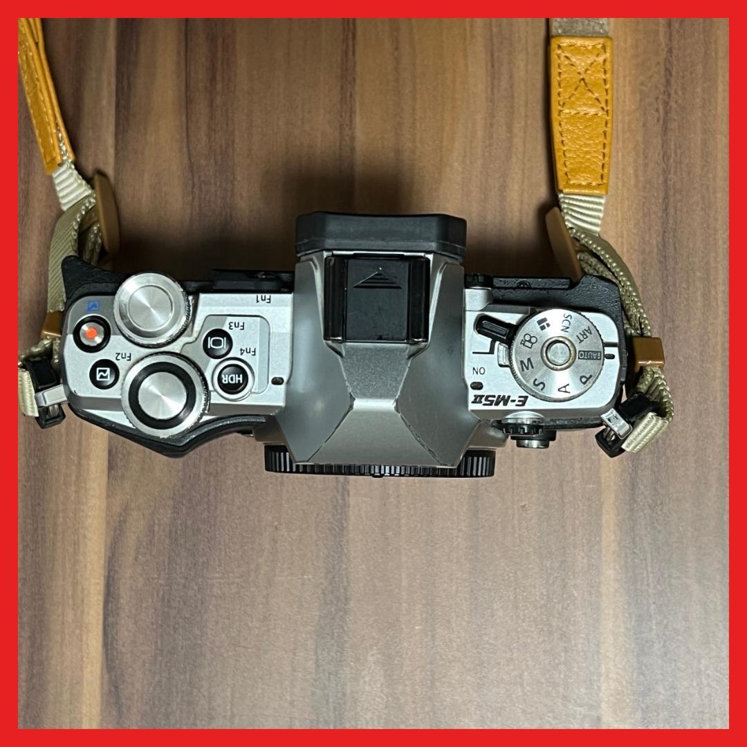 OLYMPUS オリンパス OM-D E-M5 Mark II ミラーレス 一眼