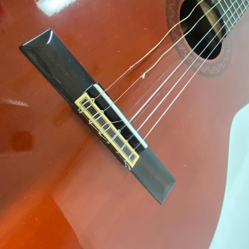 Morris モーリス M-25 ギター 弦楽器 クラシックギター