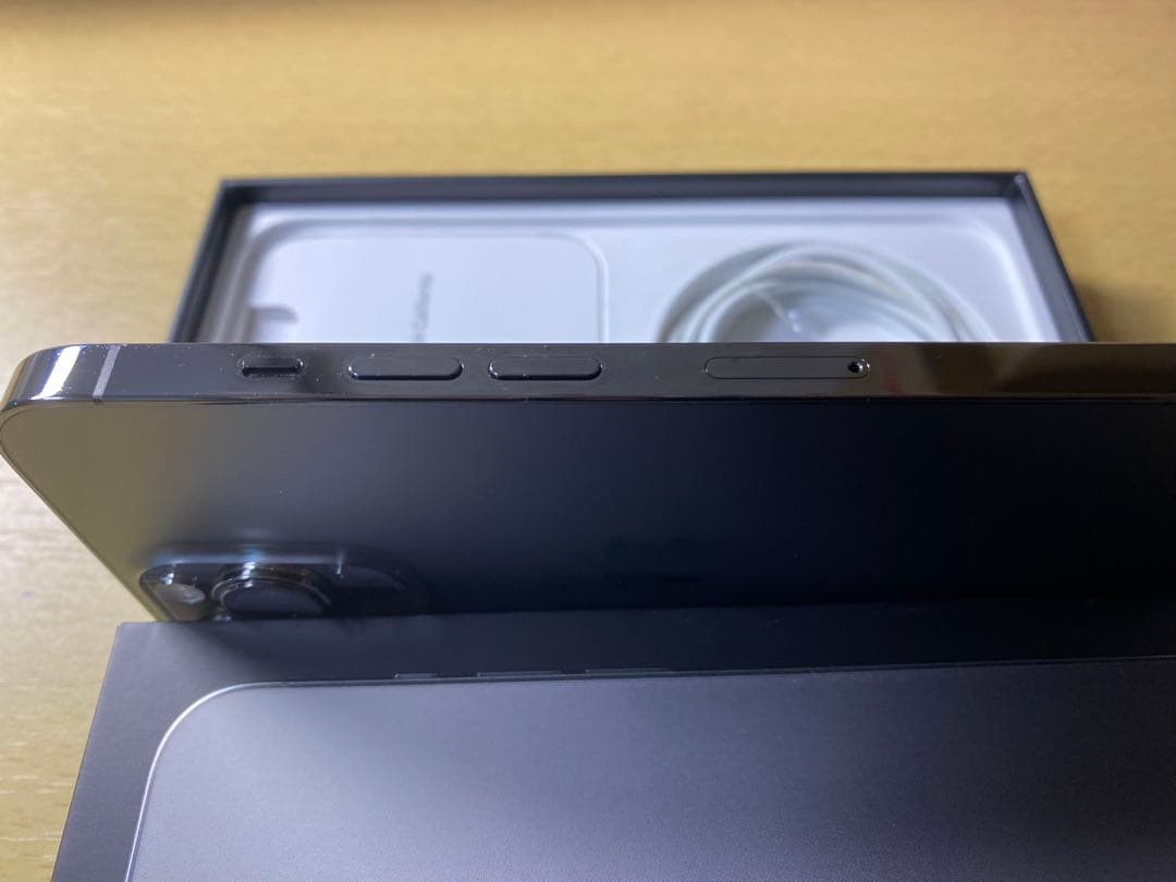 Apple iPhone 13 Pro 256GB グラファイト シンガポール版