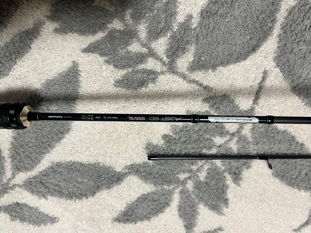 最終値下げ！極美品　テイルウォーク　アジストSD S55/SL