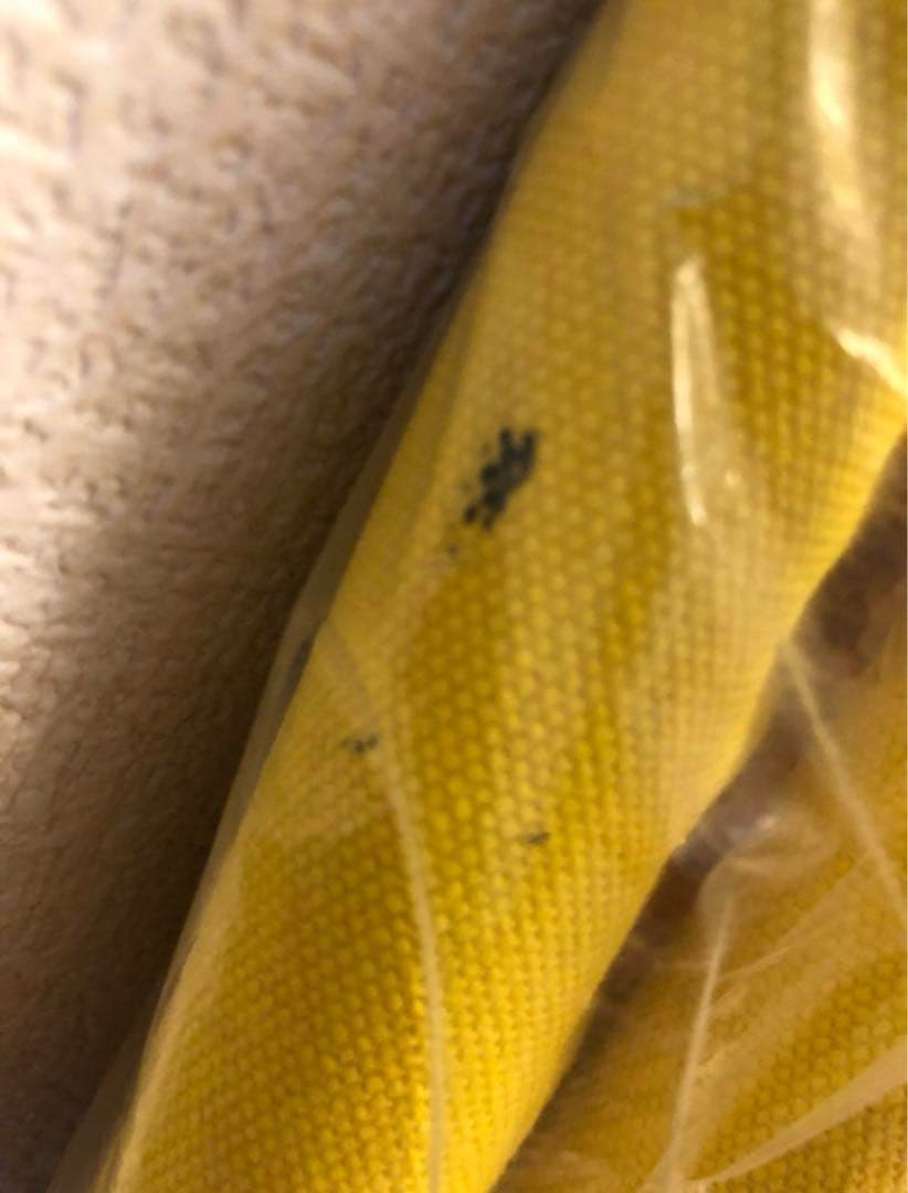 アクタス　チェアー　黄色と赤色の2脚　キャンプ•バルコニー用　室内用