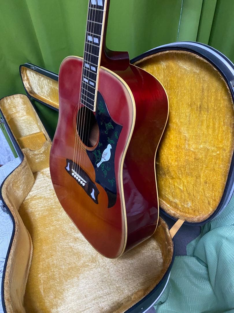 カントリーしようぜ！モーリス DOVE エレアコ 音出し良好　アコギもOK！