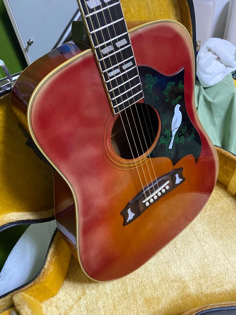 カントリーしようぜ！モーリス DOVE エレアコ 音出し良好　アコギもOK！