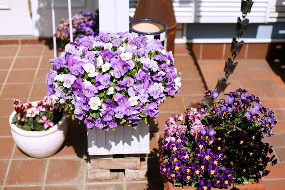 フィルムカメラ PENTAX SMC TAKUMAR f1.4 50mm M42 L75