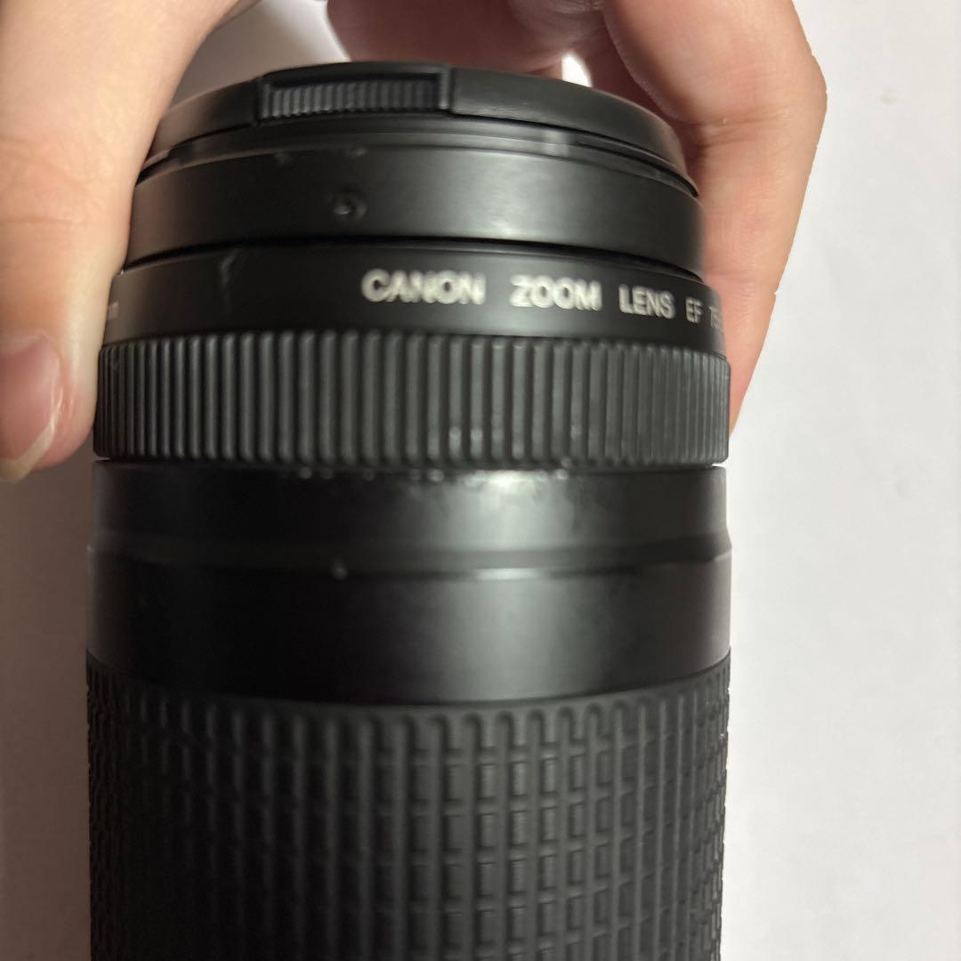 Canon EF 75-300mm ズームレンズ