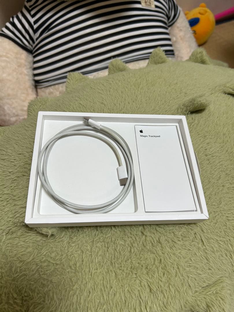 iPad Pro (11 inch) （第3世代）