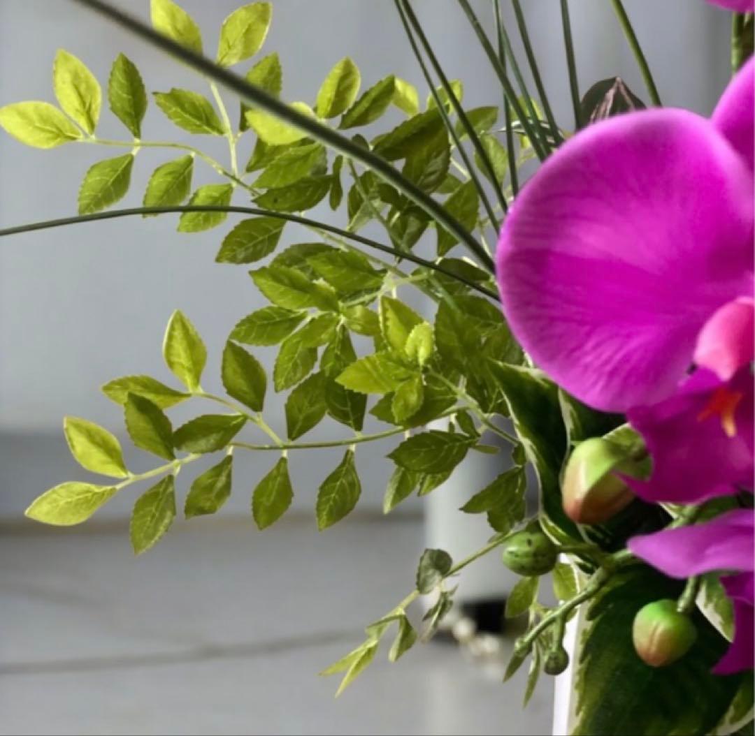光触媒　人工観葉植物　ウォールグリーン　フェイクグリーン　リアル胡蝶蘭アレンジ!