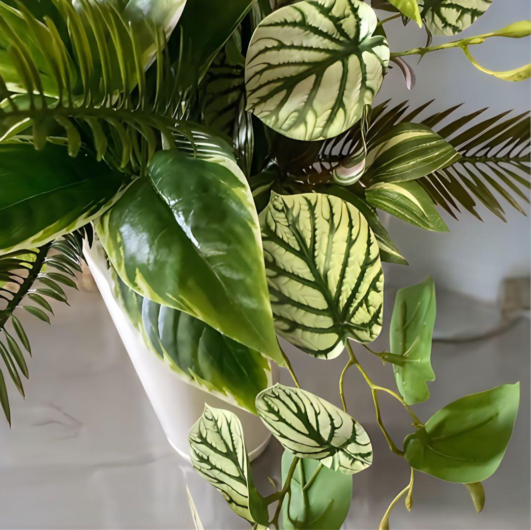 光触媒　人工観葉植物　ウォールグリーン　フェイクグリーン　リアル胡蝶蘭アレンジ!