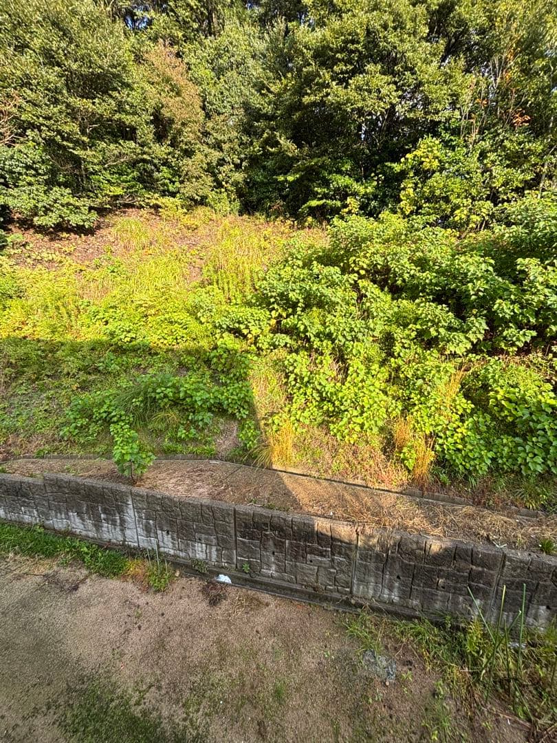 【24時間値下げ】Apple iPhone 15 128GB本体(箱付き）