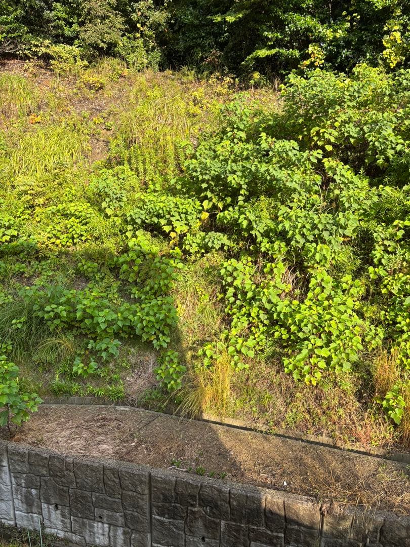 【24時間値下げ】Apple iPhone 15 128GB本体(箱付き）