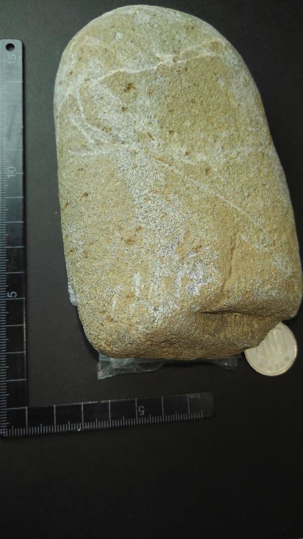 磨製石斧(出土品)　旧石器時代　【約13㎝×7・5㎝×3・5㎝】約750gです。