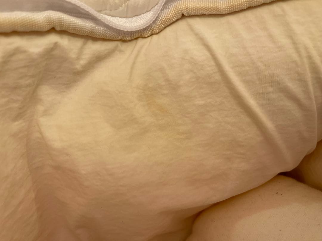 seoru 犬　バッグ