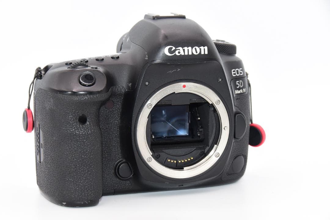 ■ 美品 ■ キャノン Canon EOS 5D Mark IV
