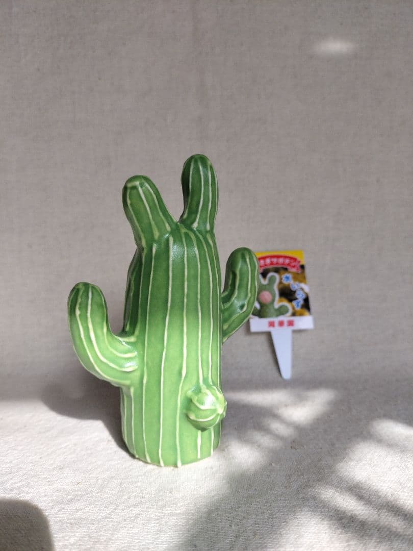 未使用☆岡モータース　うさぎサボテン