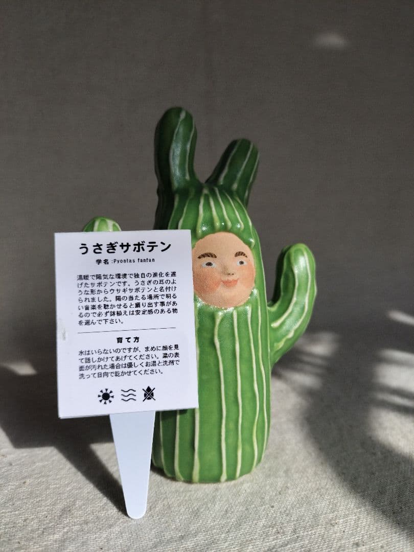 未使用☆岡モータース　うさぎサボテン