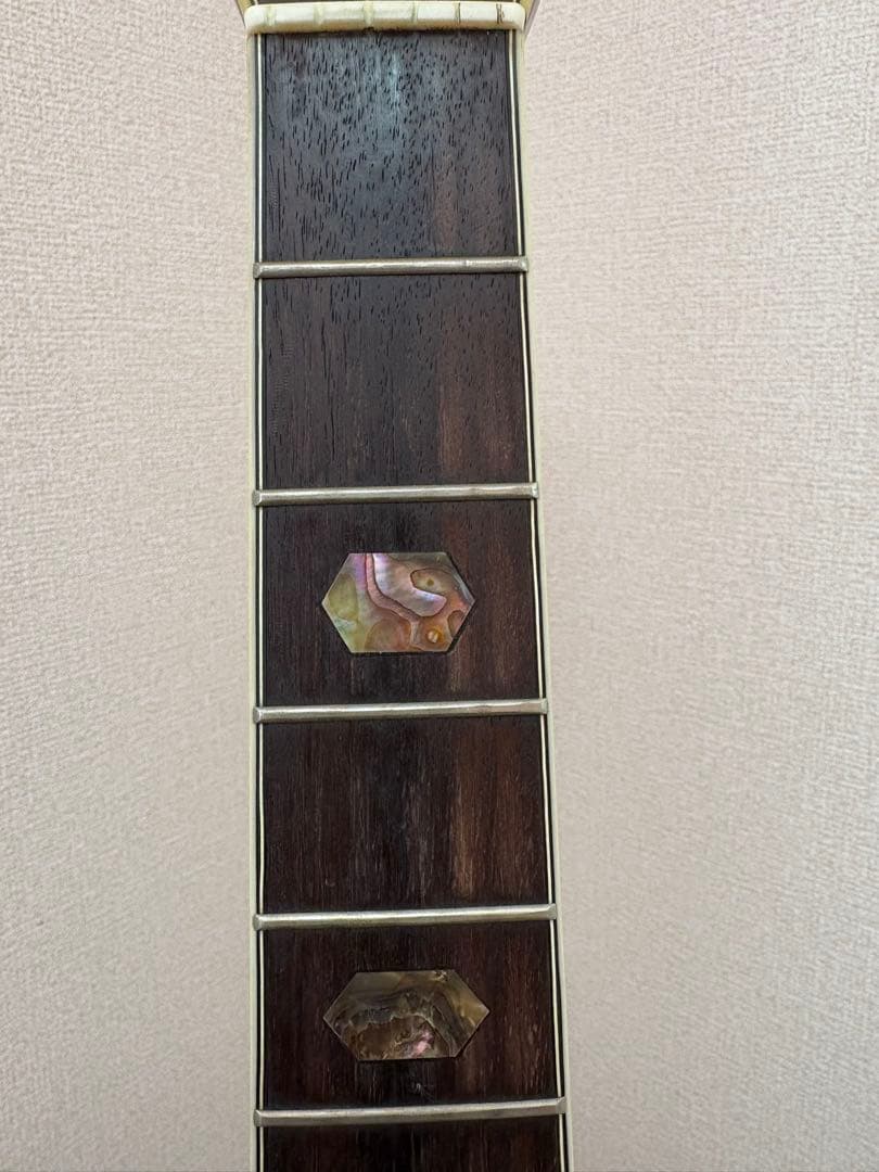 モーリス MORRIS アコースティックギター W-60