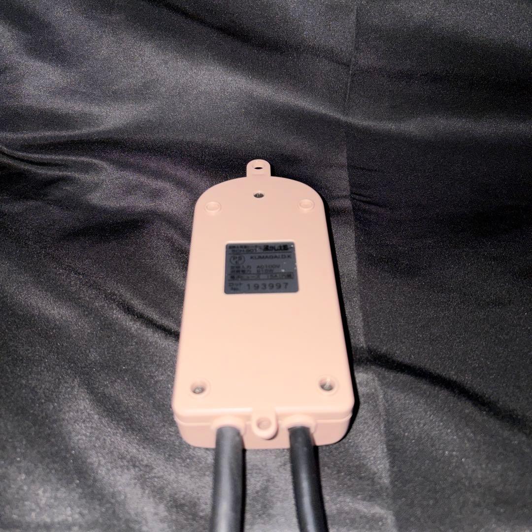 湯沸かし太郎 クマガイ電工 投げ込みヒーター D1