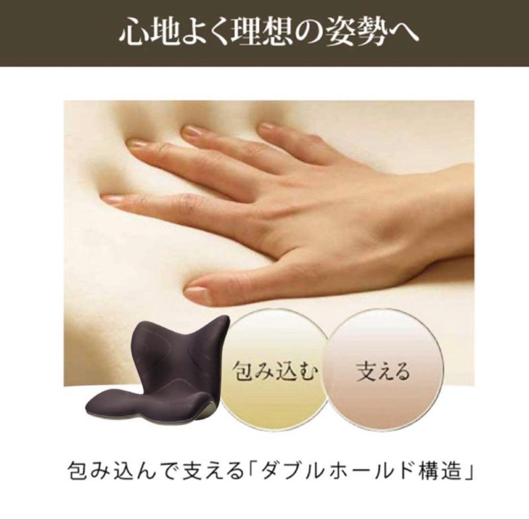 Style PREMIUM 腰椎サポート機能 ブラック