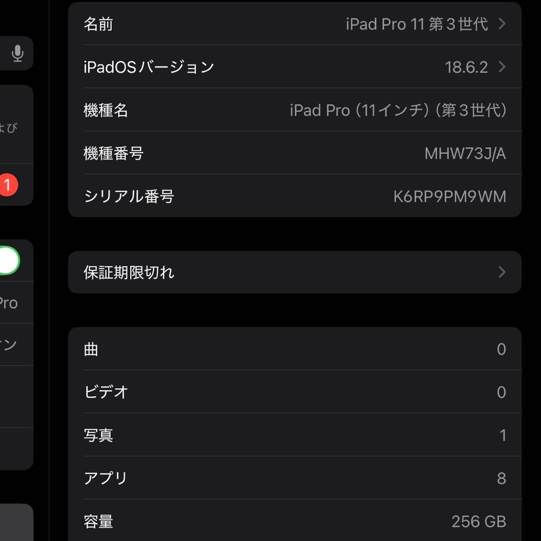 iPad本体 iPad Pro 11 M1 256GB cellular