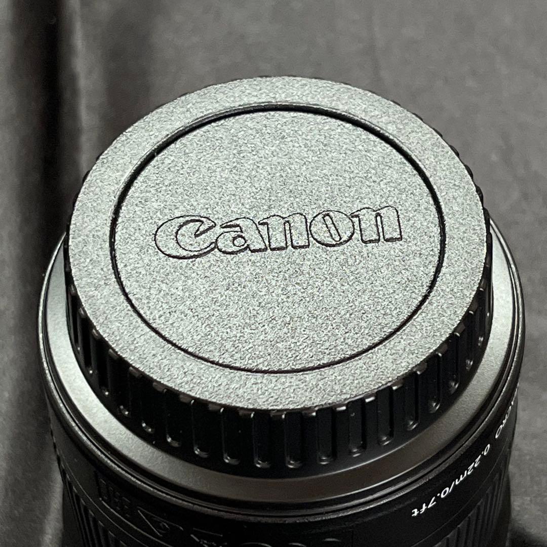 レンズ(ズーム) Canon EF-S 10-18mm 1:4.5-5.6 IS STM