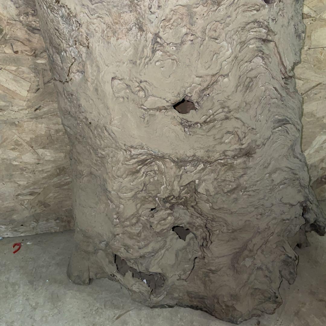 特価！！屋久杉　アンティーク　骨董品　希少柄