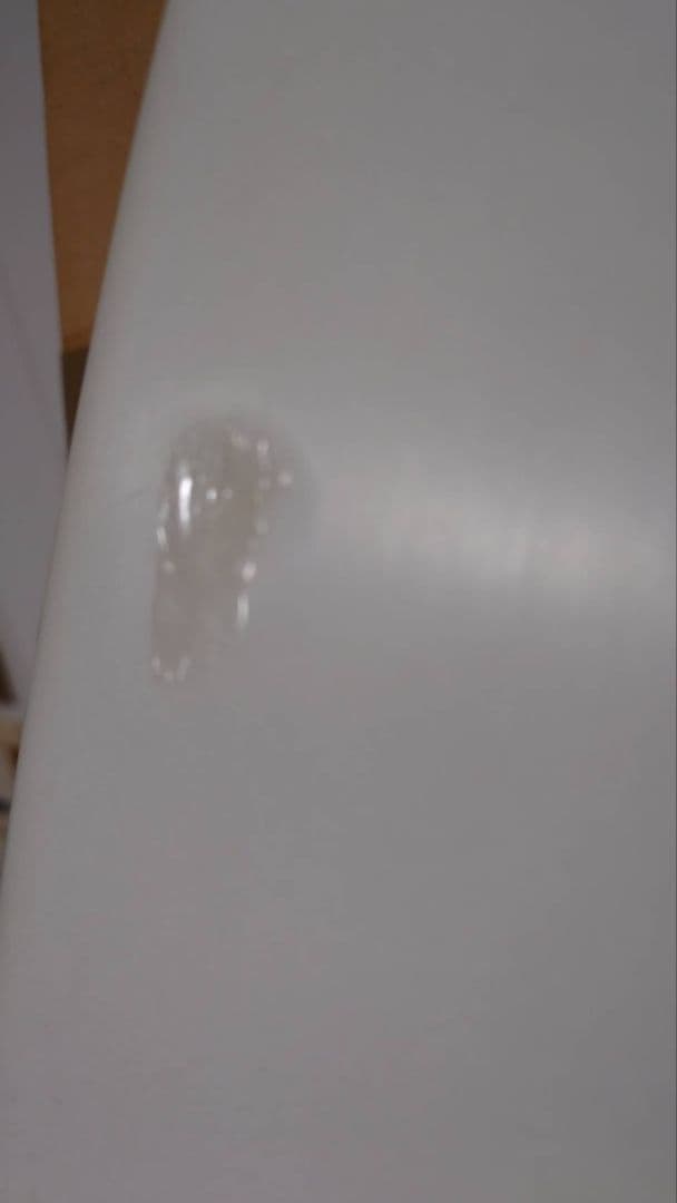 AL MERRICK FLYER ショートボード