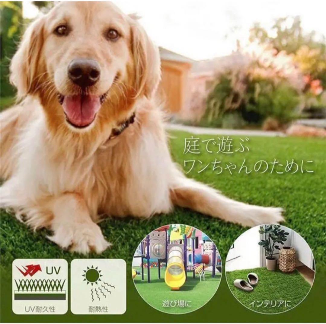 人工芝 ロール リアル 2m×10m 芝丈35mm 密度2倍固定ピン付3本セット