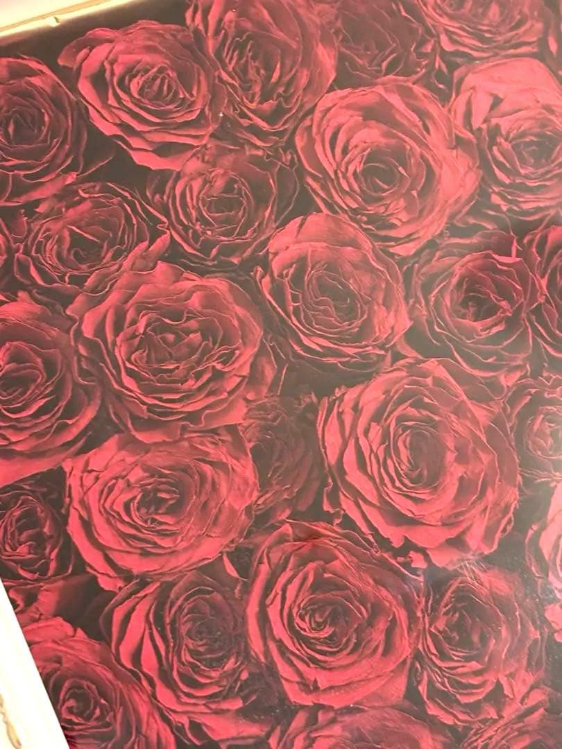 108本　赤いバラのプリザーブドフラワー