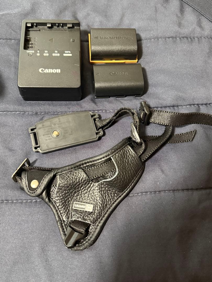 Canon EOS 6D EF24-105mm F4L ズームレンズセット