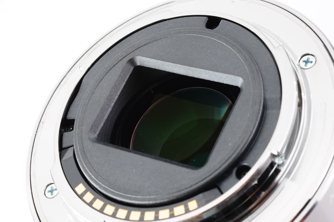 【運動会・スポーツに】SONY 望遠ズームレンズ SEL55210 585