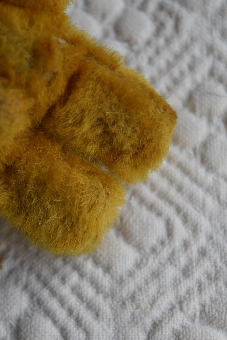 akiさま専用　small teddy bear 　小さなテディベア