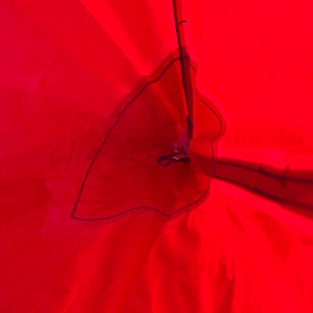 MSR エリクサー2 山岳テント　ヨーロッパ限定 グリーン