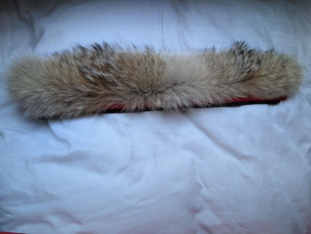 本日限定SALE✨️美品   カナダグース ジャスパー