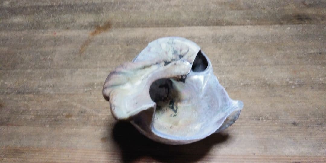巻き貝の灰皿